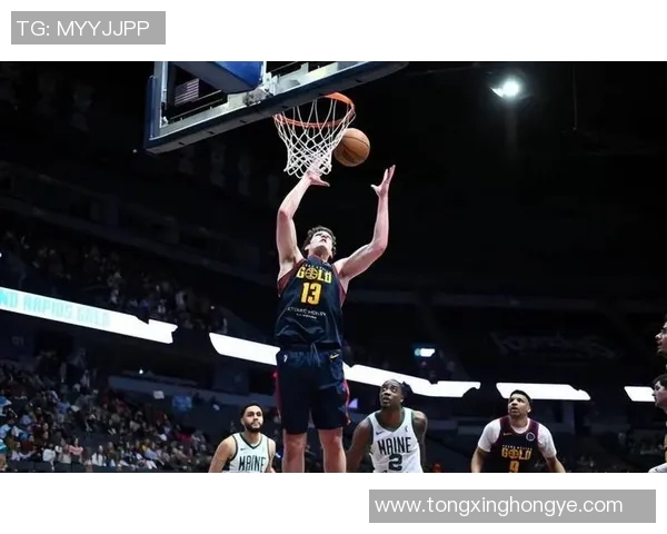 灰熊签下试训球员，或成球队季后赛突破关键